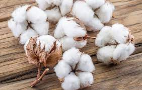 Cotton 1 kg